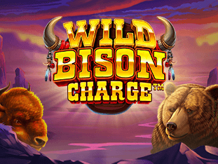 وائلڈ بائیسن چارج game thumbnail